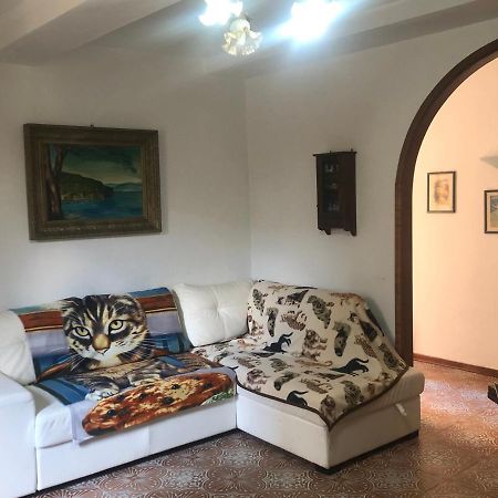 Апартаменты Casa Di Nella Кампилья-Мариттима Экстерьер фото